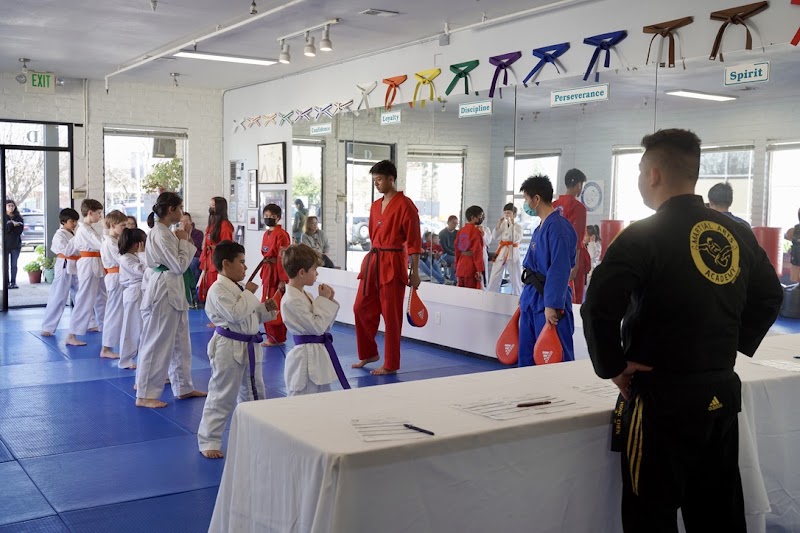 Photo of Saratoga Martial Arts Academy
