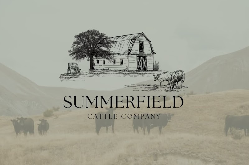 Summerfield Cattle Co photo 3
