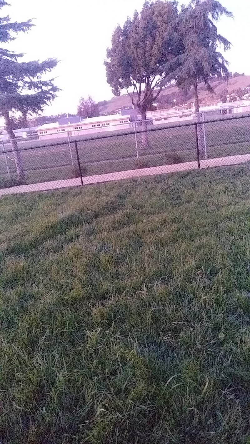 Edendale Dog Park photo 5
