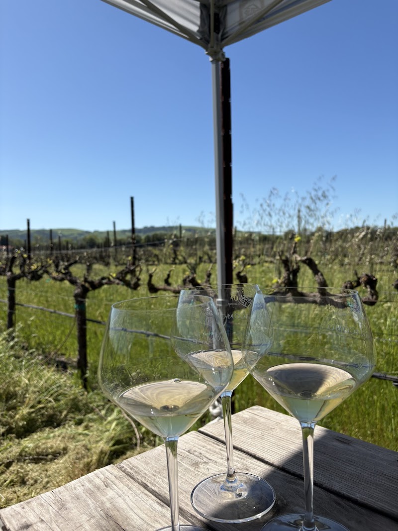 North Bay Wine Tours photo 3