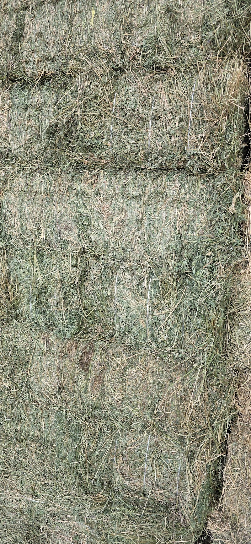 Arizona Hay And Feed, LLC photo 2
