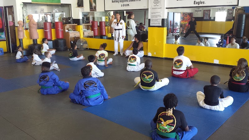 Soaring Eagles Taekwondo photo 2