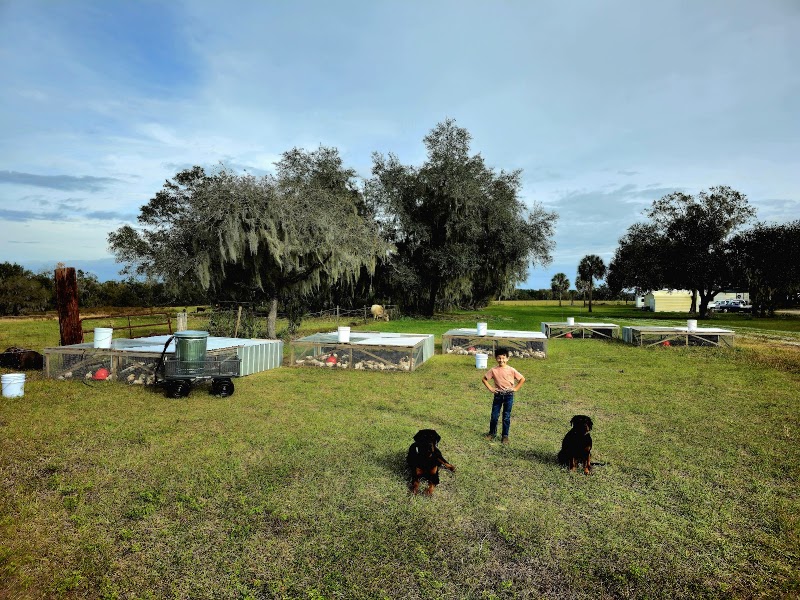 Photo of Regeneration Family Farm