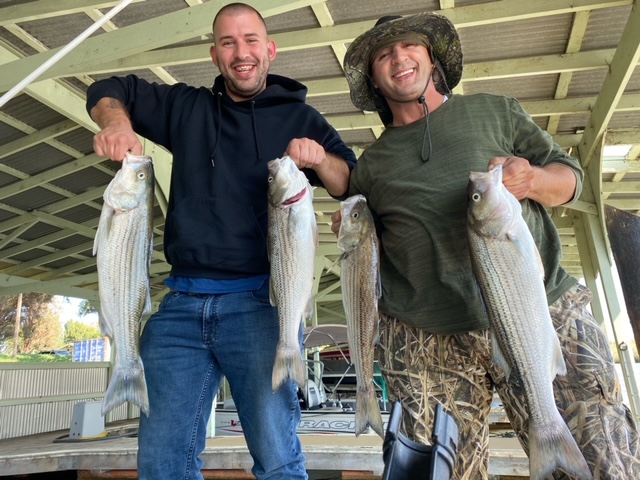 Photo of Topline Sportfishing