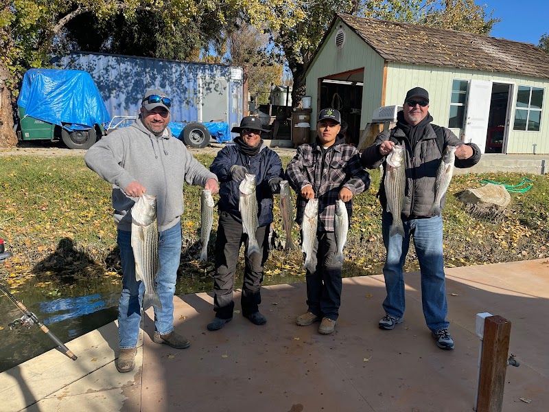 Topline Sportfishing photo 4