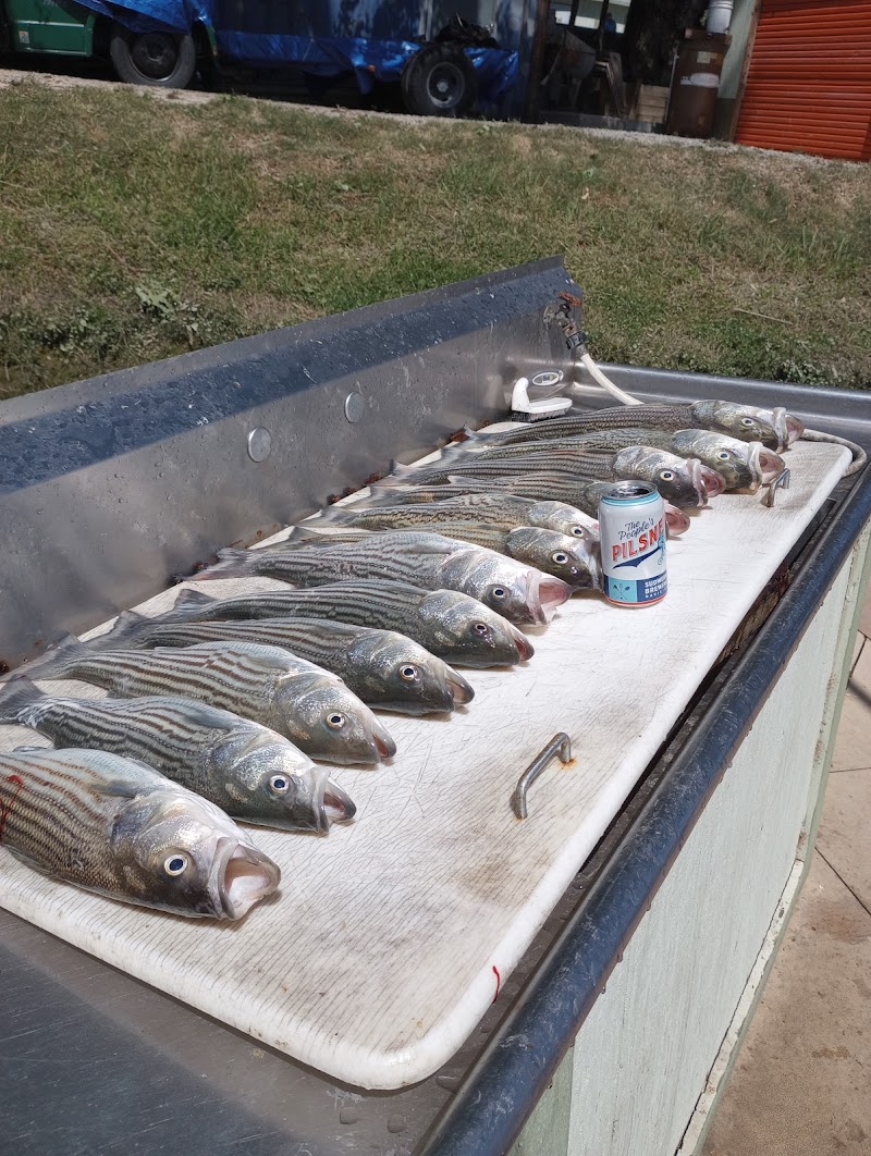 Topline Sportfishing photo 2
