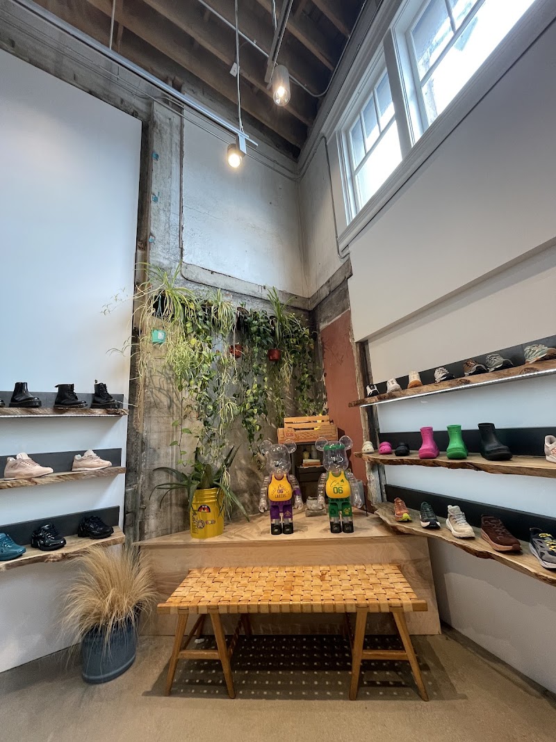 Bodega photo 3