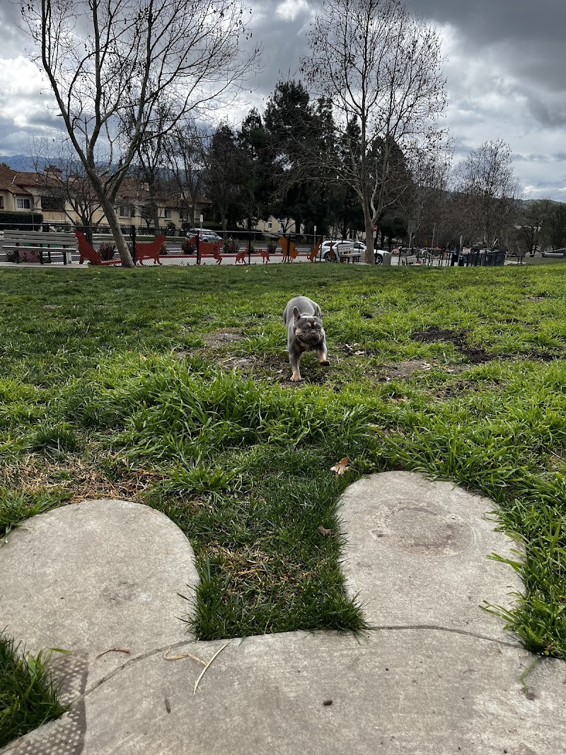 Dougherty Hills Dog Park photo 4