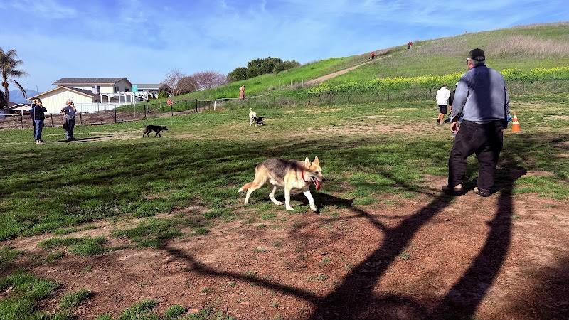 Photo of Dougherty Hills Dog Park