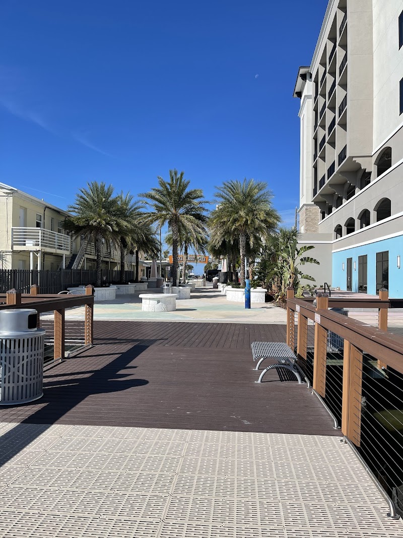 Papaya Street Plaza photo 2