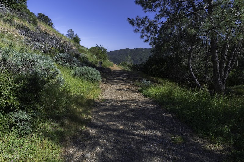 Mt Umunhum Picnic Area photo 5