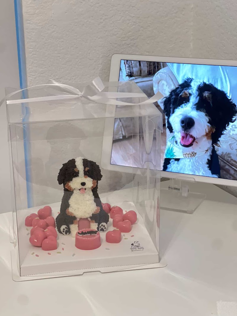 Photo of YOMI YOMI pet food studio