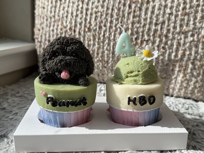 YOMI YOMI pet food studio photo 5
