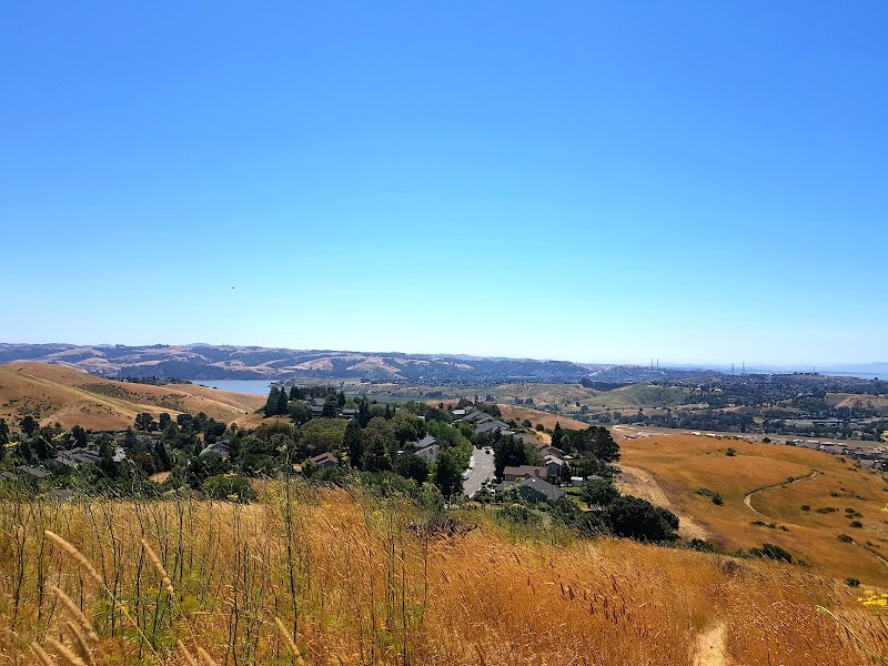 Channing Circle Park photo 2