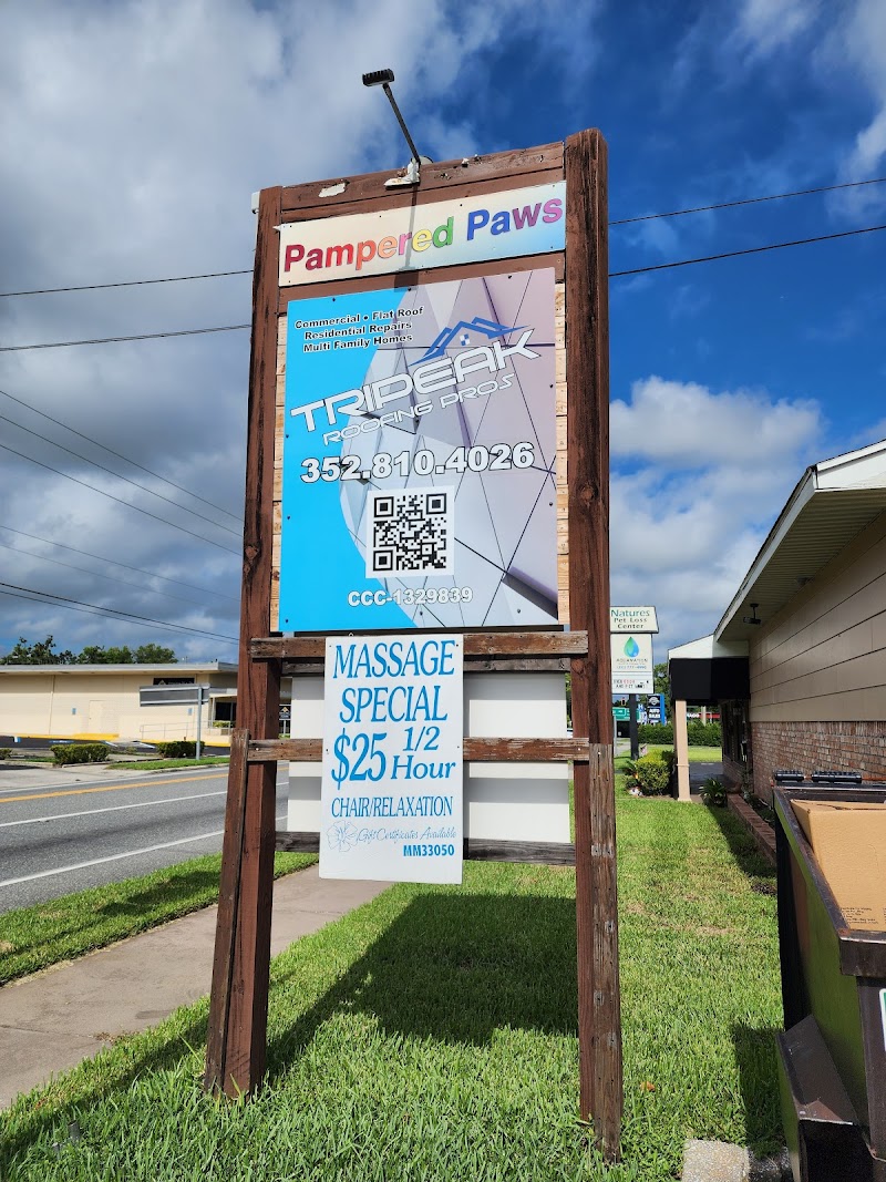 Photo of Ponti Plaza