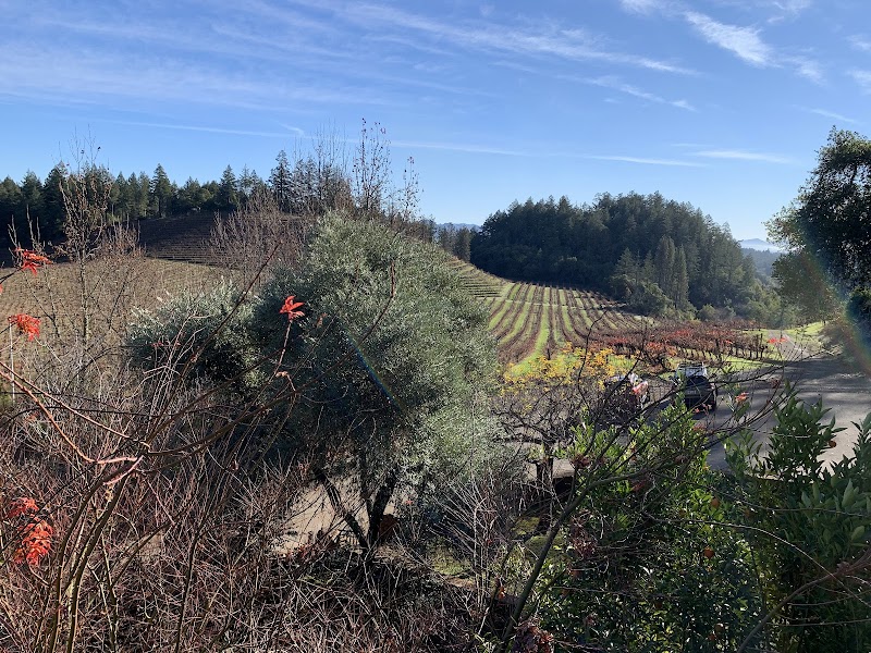 Photo of Pezzi King Winery