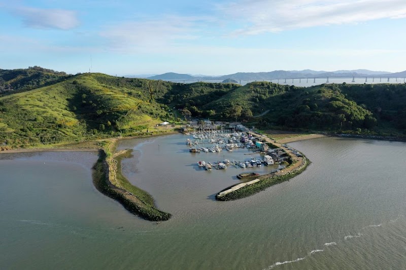 The BIG ART Concert Meadow at Point San Pablo Harbor photo 2