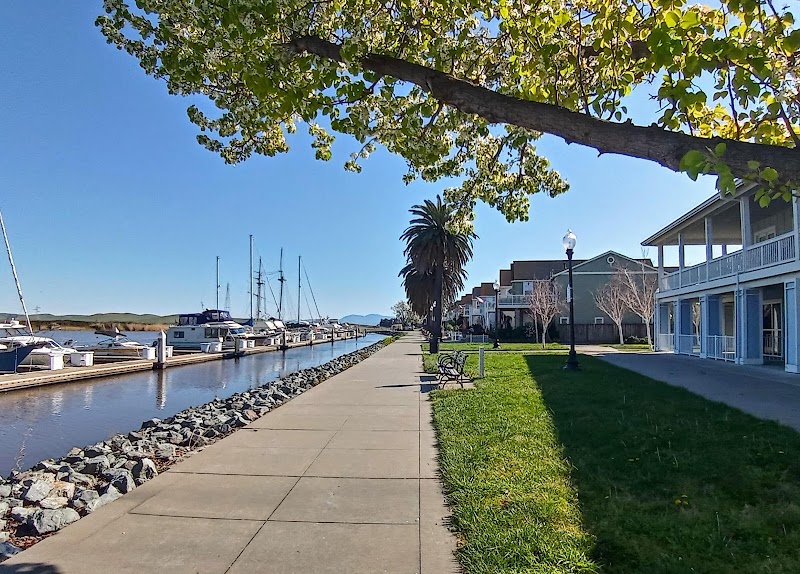 Suisun City Marina photo 2