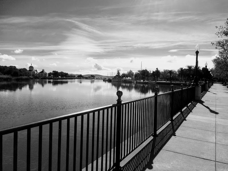 Suisun City Marina photo 5