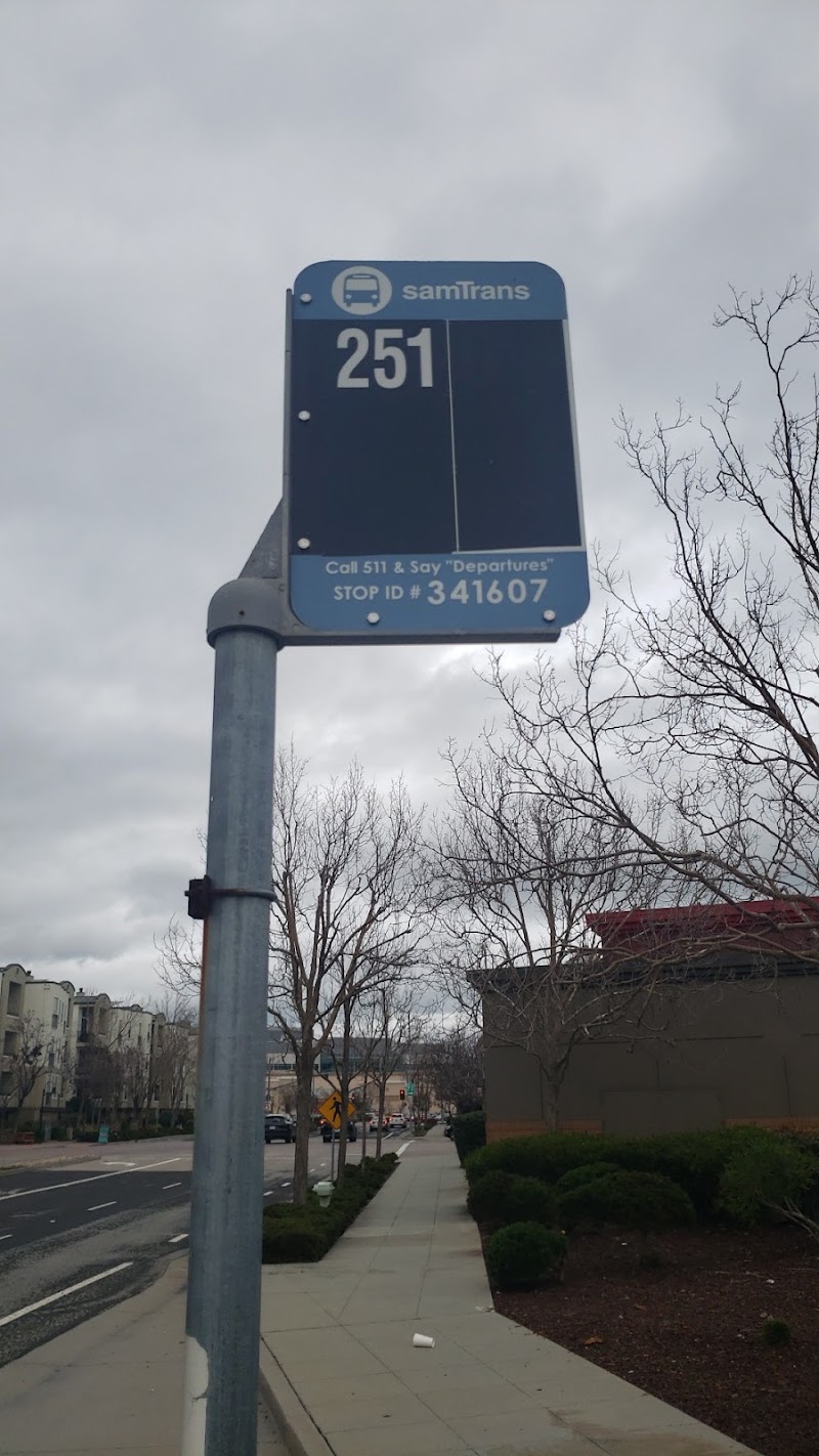 Bridgepointe Pkwy & Chess Dr (PM Only) photo 2