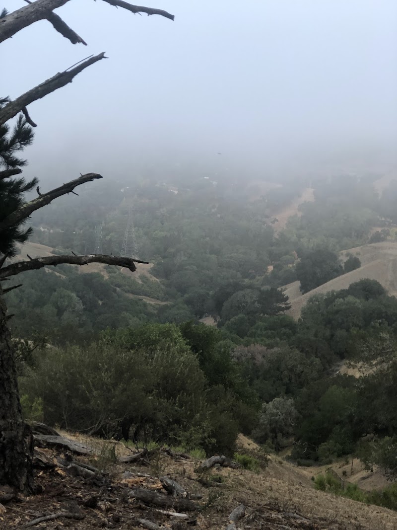 Orinda Oaks Open Space, Donald Drive Entrance photo 2