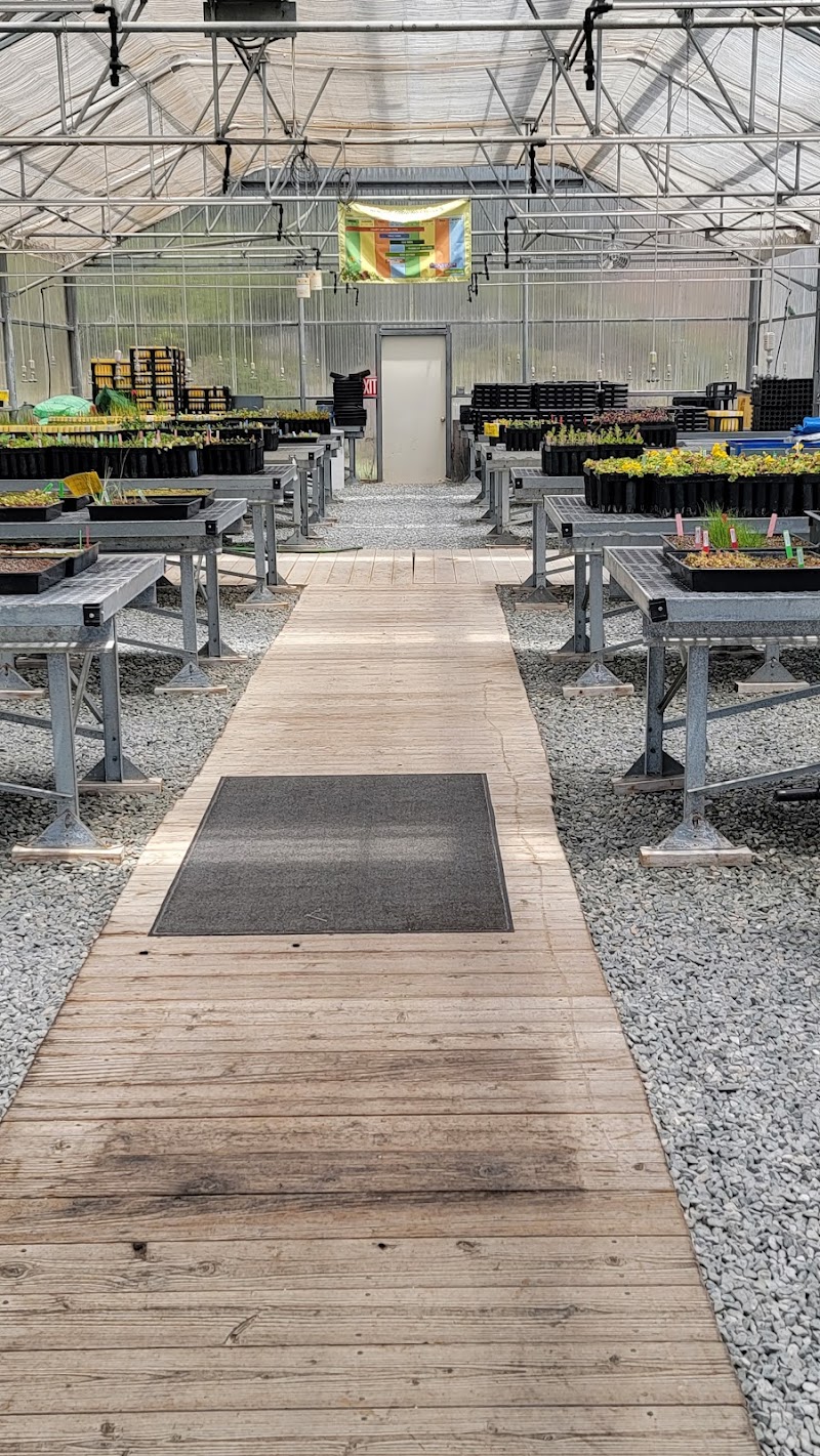 Marin Headlands Nursery photo 5