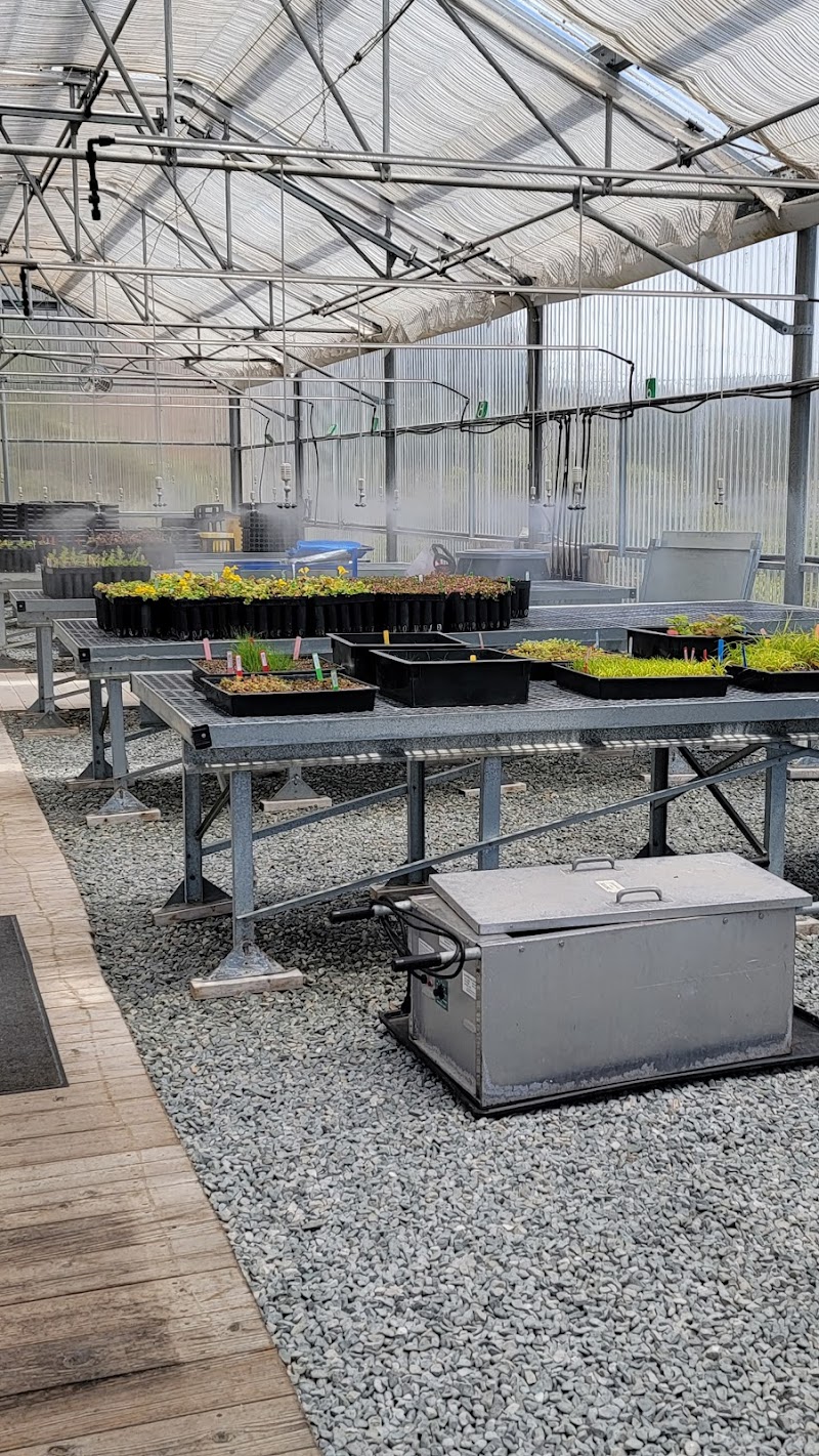 Marin Headlands Nursery photo 2