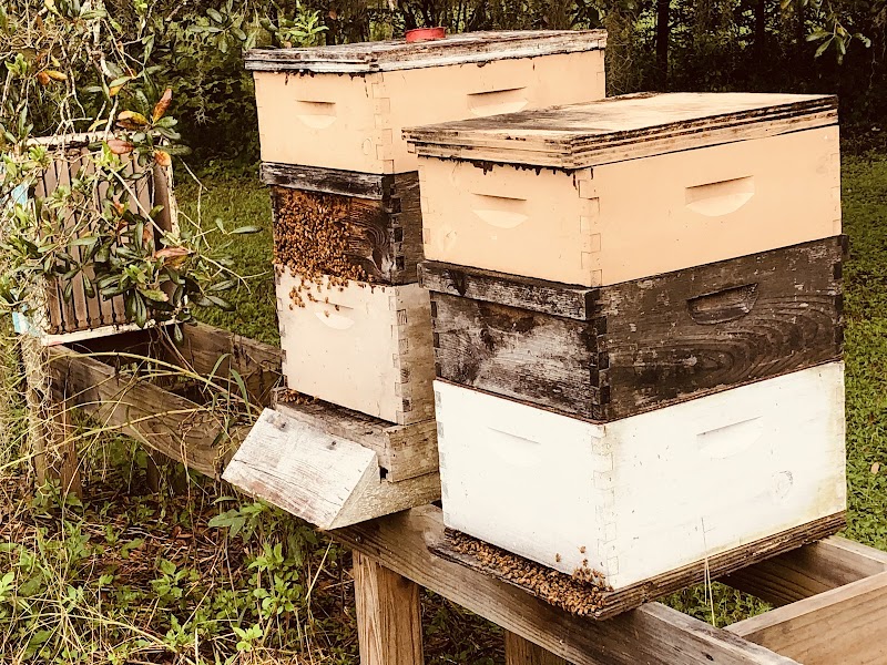Bee Good Honey photo 4