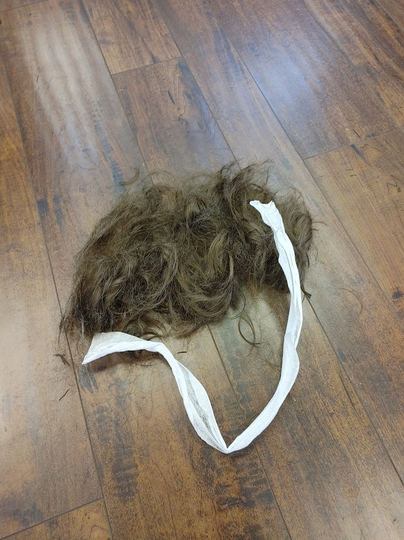 Dave's Barber Shop & Shaving Parlor photo 2
