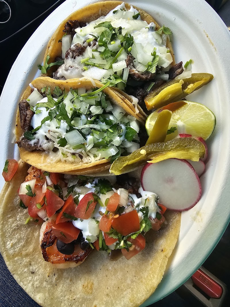 Taqueria Camino Real photo 3
