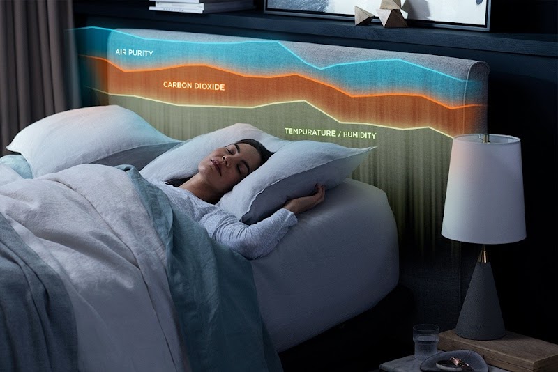 Sleep and Brain photo 2