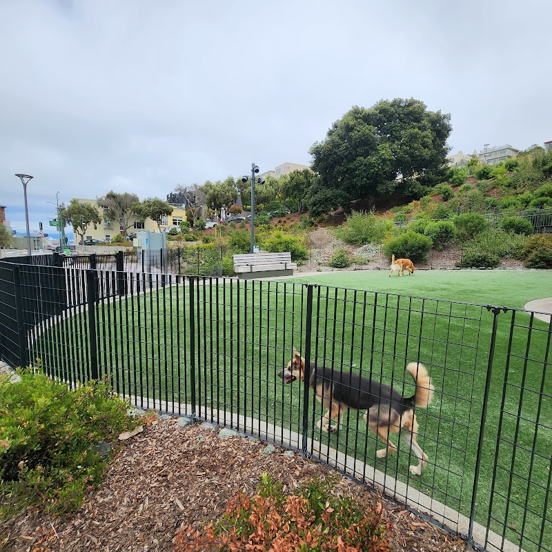 Photo of Pepi's Dog Play Area