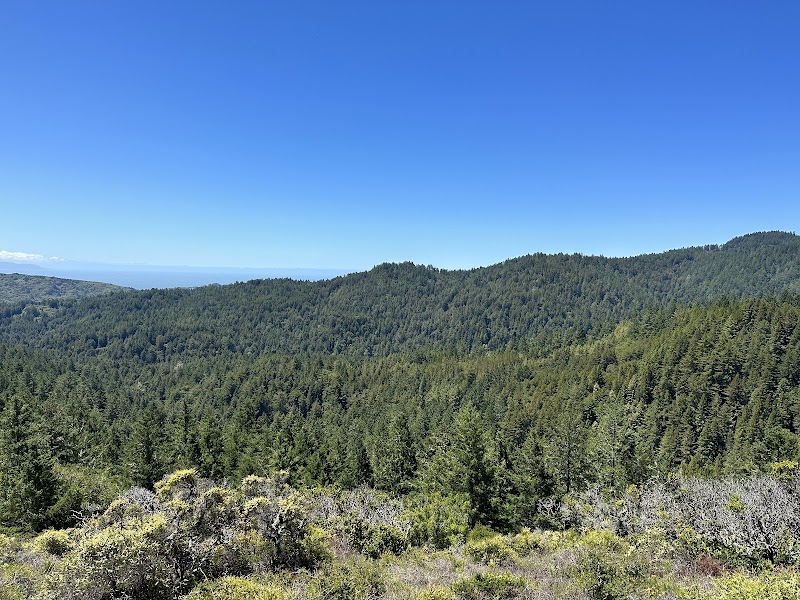 Marin County Fire Department - Throckmorton Ridge Station photo 4