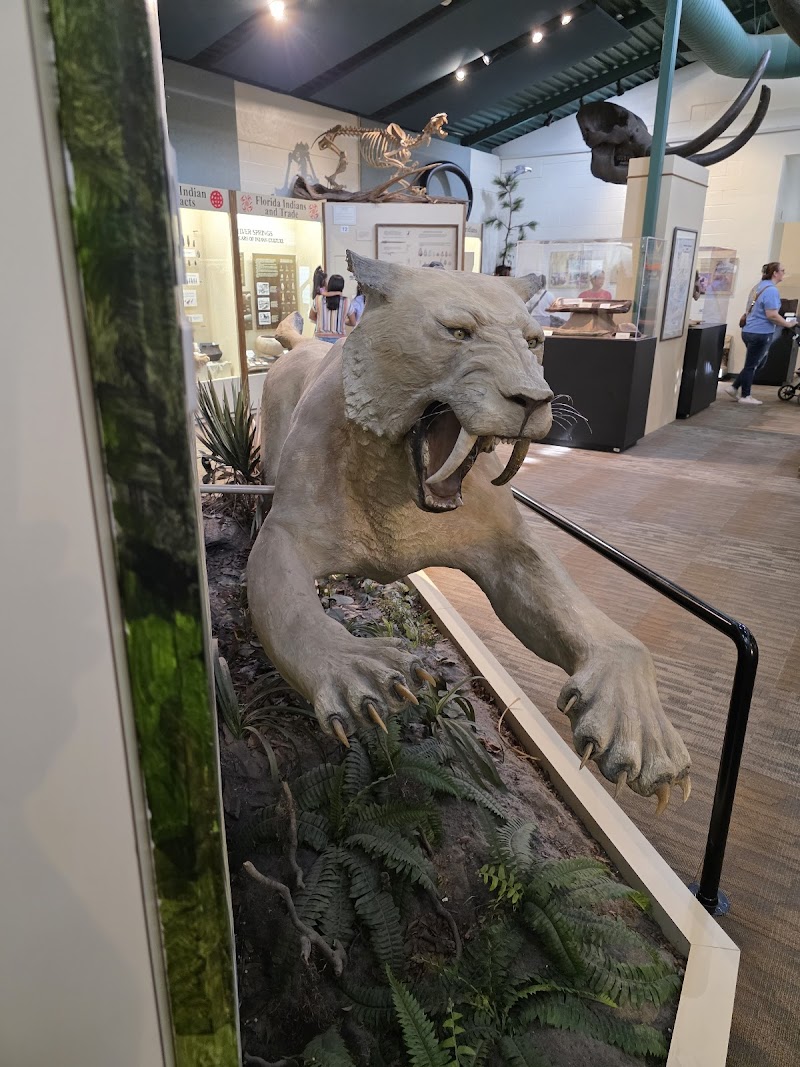 Silver River Museum & Environmental Education Center photo 5