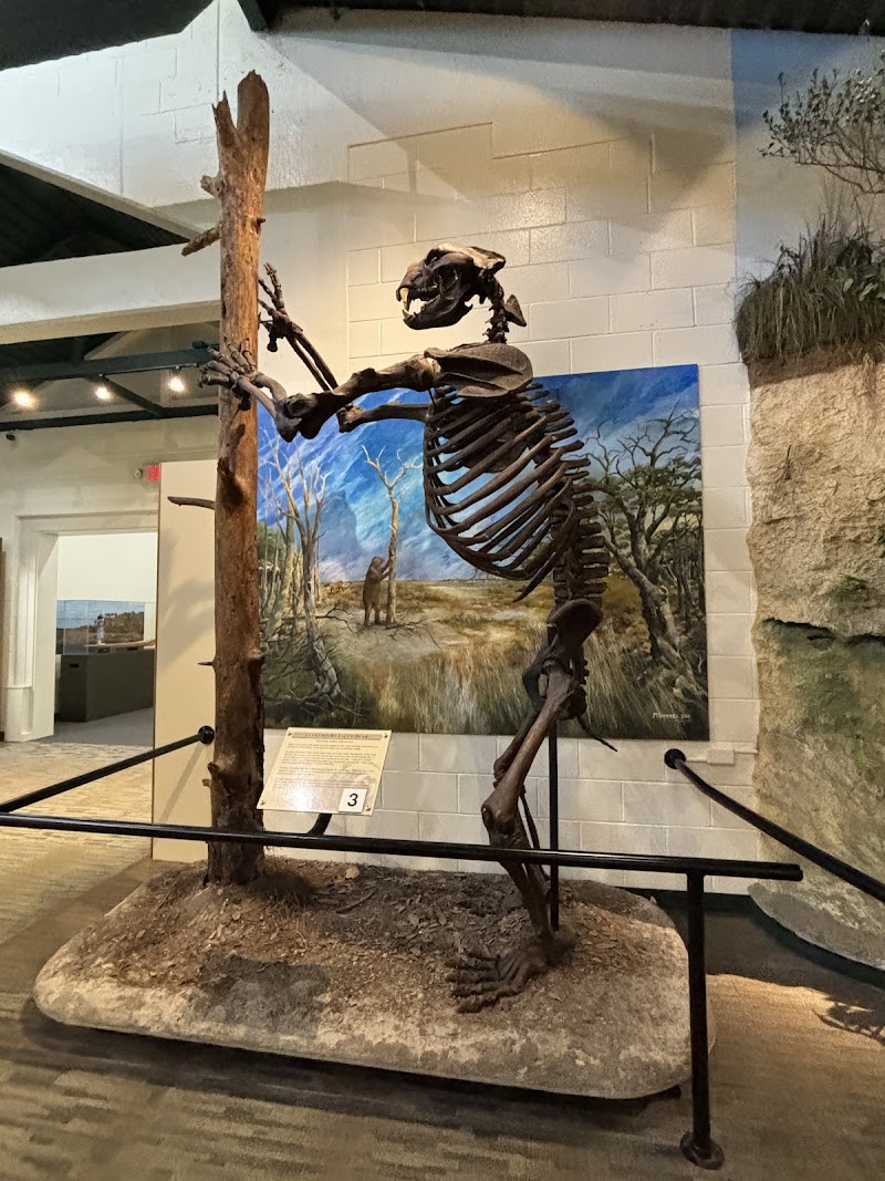 Silver River Museum & Environmental Education Center photo 3