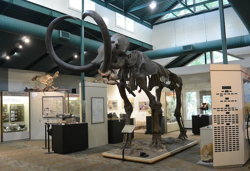 Photo of Silver River Museum & Environmental Education Center
