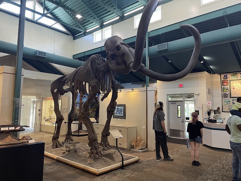 Silver River Museum & Environmental Education Center photo 2