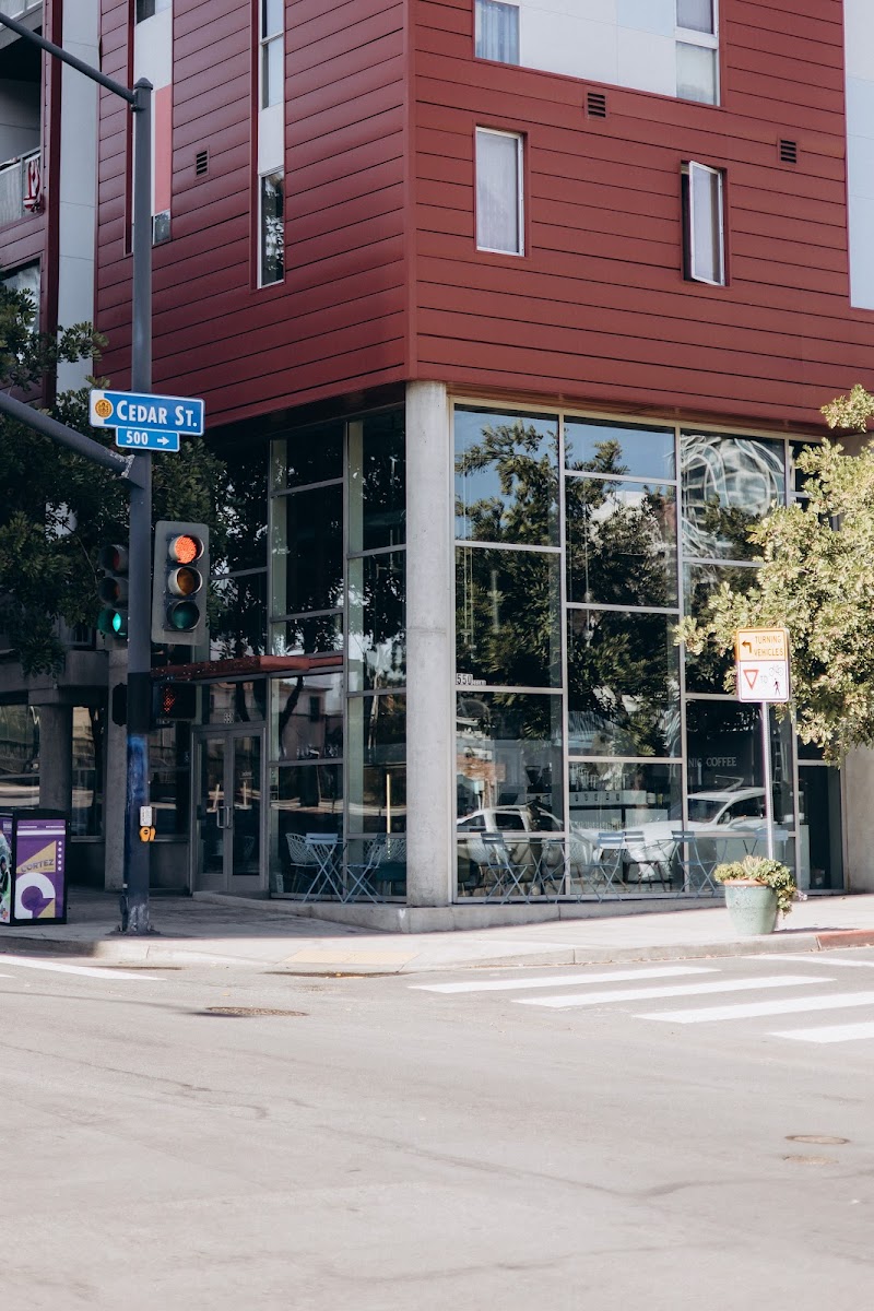 Photo of Bloom Avenue