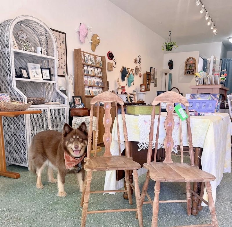 Daydream Shop & Maker Space photo 2
