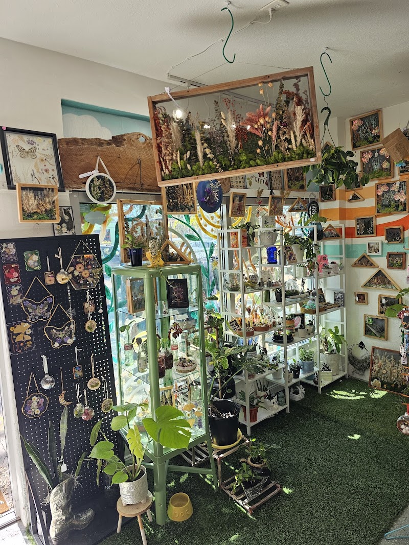 Daydream Shop & Maker Space photo 3