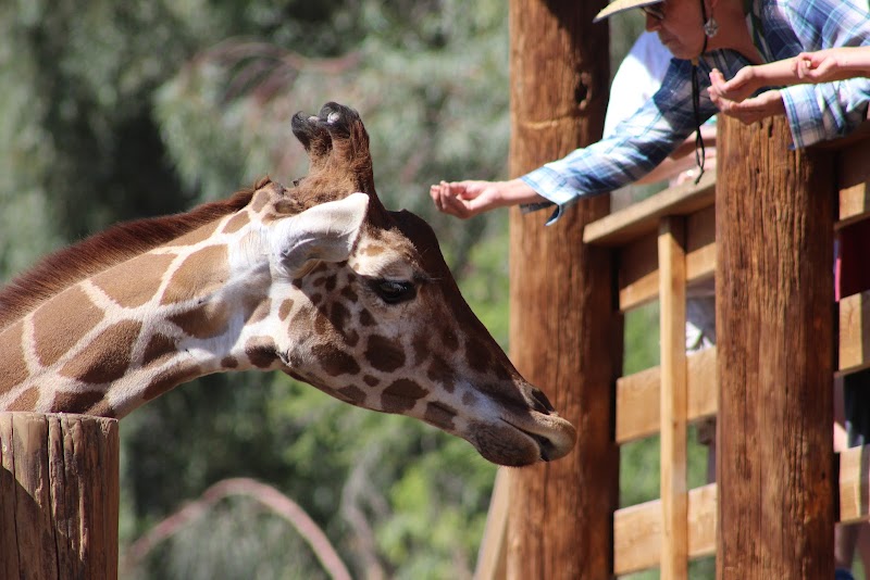 Wildlife World Zoo, Aquarium & Safari Park photo 4