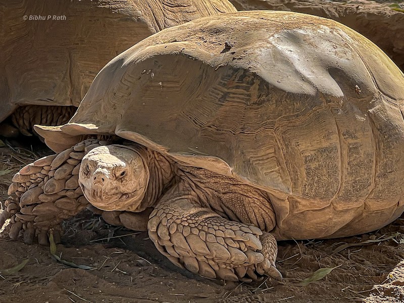 Wildlife World Zoo, Aquarium & Safari Park photo 5