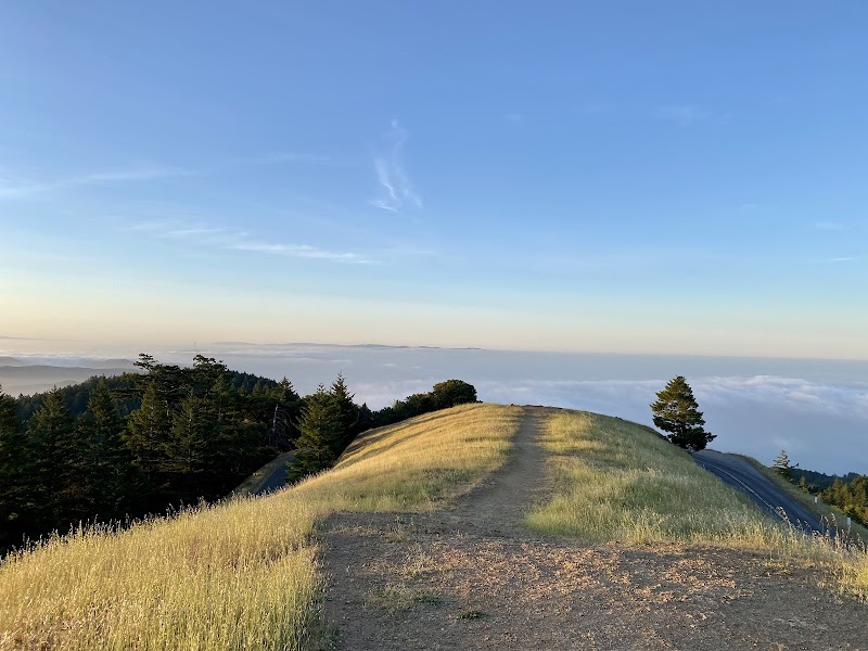 Photo of Vista of San Francisco