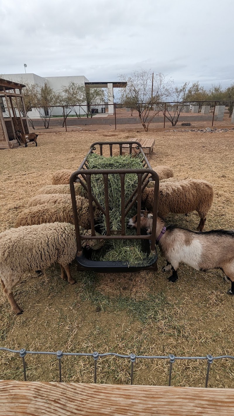 Kinsey Kountry Farm LLC photo 3