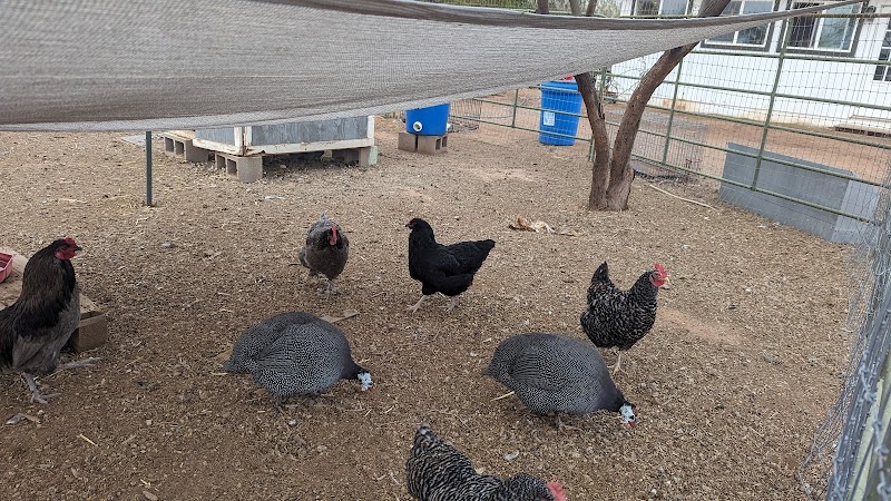 Kinsey Kountry Farm LLC photo 5