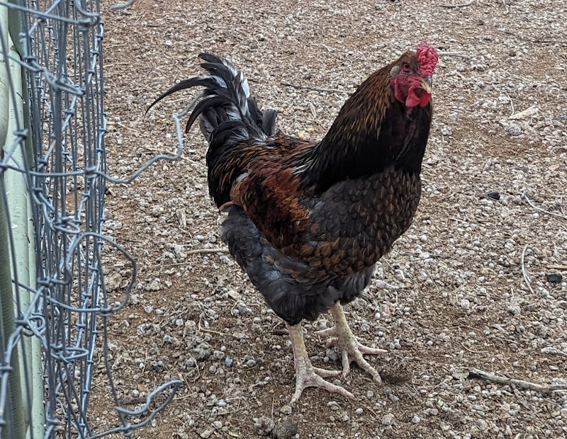 Kinsey Kountry Farm LLC photo 2