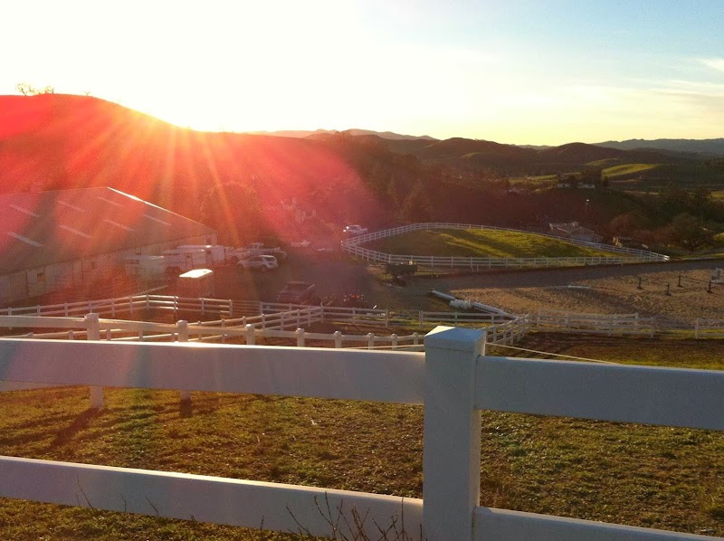 Three Horse Farms photo 3