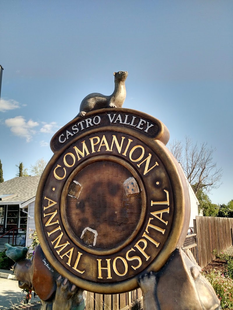 Castro Valley Companion Animal Hospital photo 2