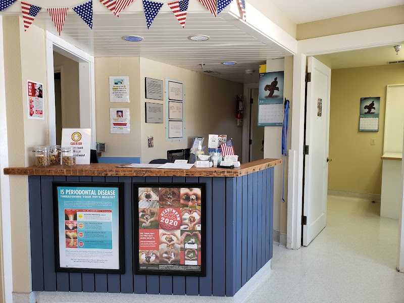 Castro Valley Companion Animal Hospital photo 4