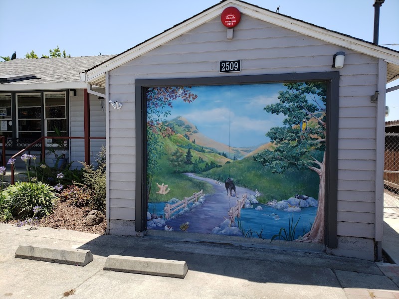 Castro Valley Companion Animal Hospital photo 5